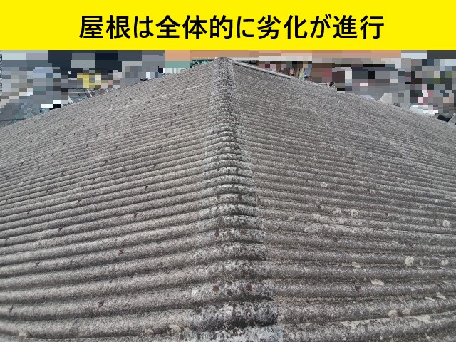 屋根全体　劣化が進行している